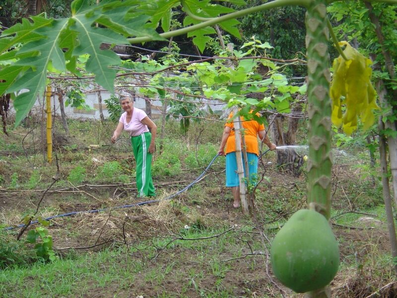 Actividades — 01 — Fundación Albeiro Vargas